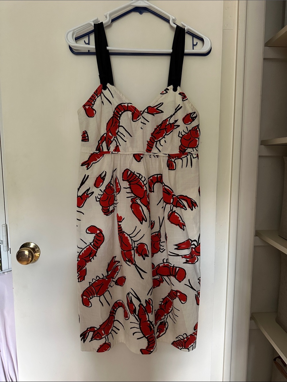Summer Cream Dress with Red Lobster Print and Black Straps